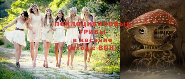 мяу мяу кристалл Богданович