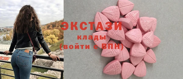СК Богородицк