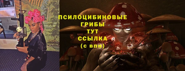 СК Богородицк