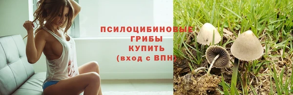 ALPHA PVP Богородск